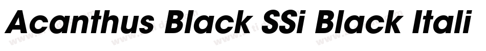 Acanthus Black SSi Black Italic字体转换